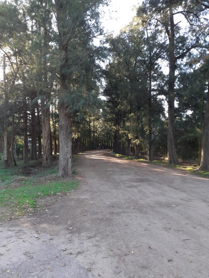 Homestay Parque Leloir, Ituzaingo Villa Leloir